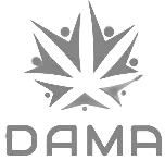Dama Lyfe - Project of Dog and Rooster Web Design Company located at United States San Diego California